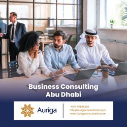 Elevate Your Business with Auriga Consultants in Abu Dhabi