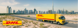 Efficient DHL Shipping Services at Lex Pack & Ship in New York