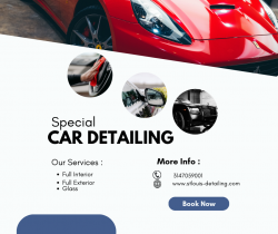 Saint Louis Mobile Car Detailing by Dolphin’s Mobile Detail Service LLC