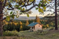 Finding Serenity in Canada: A Comprehensive Guide to Choosing the Perfect Meditation Retreat