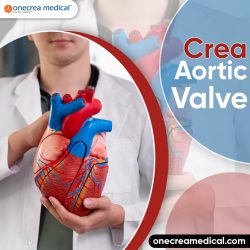 Crea Aortic Valve