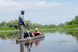 Botswana Wildlife Tour Packages