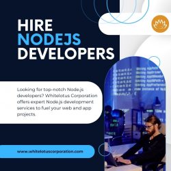 Hire Dedicated Node js Developers