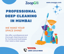 Professional Deep Cleaning in Mumbai