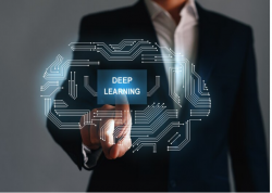 Deep Learning Training