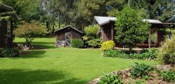 A Relaxing Retreat at Dorrigo Bush Pepper Retreat