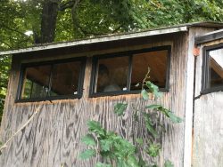 Deer Stand Windows & Doors Mansfield TX