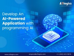 A Guide to Developing AI Applications with Programming AI