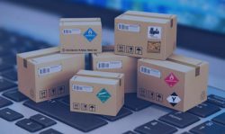 E commerce logistics Services Mumbai – Navigating Risk with Confidence