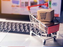 Ecommerce Logistics Services Mumbai – Pace Express