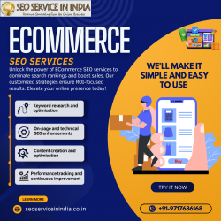 E-commerce SEO India