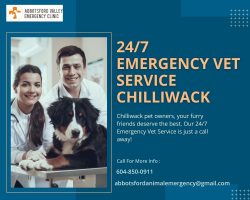 Trusted 24/7 Emergency Vet Service in Chilliwack