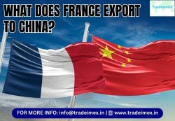 France Export Data