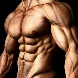 Best Testosterone Booster Supplements In 2023