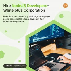 Hire Dedicated Node js Developers