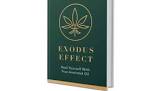 Exodus Effect Reviews