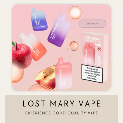 Lost mary vape bm600 by E-Flaves