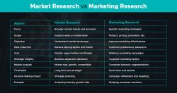 Best Market Research Company in India