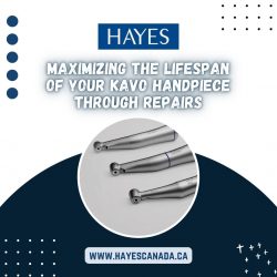 Maximizing the Lifespan of Your Kavo Handpiece through Repairs