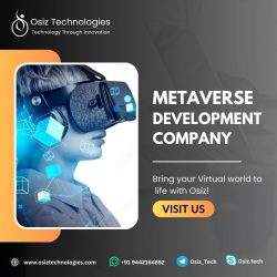 Metaverse Development Services | Osiz