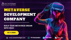 Metaverse Development Company