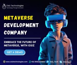 Metaverse Development Company