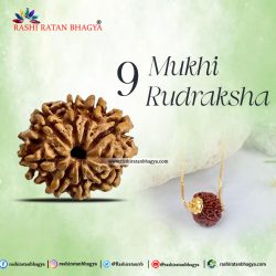 Buy 9 Mukhi Rudraksha From Rashi Ratan Bhagya At Genuine