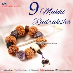 Buy Certified 9 Mukhi Rudraksha Online in India