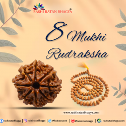 Buy Certified 8 Mukhi Rudraksha Online in India