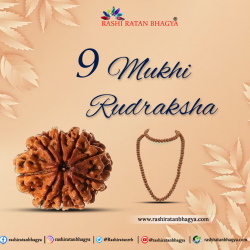 Buy 9 Mukhi Rudraksha From Rashi Ratan Bhagya At Genuine