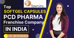 Pharma Franchise for Softgel Capsules