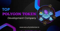 TOP POLYGON TOKEN DEVELOPMENT COMPANY IN USA, UK, UAE