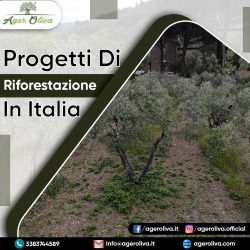 Progetti Di Riforestazione In Italia