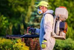 Residential Pest Treatment Ohio