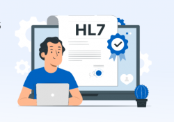 hl7 interface development