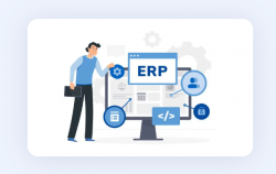 erp software development