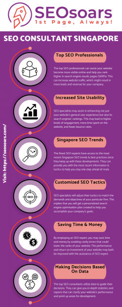 SEO Consultant Singapore | SEO Soars