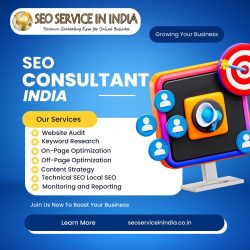 SEO Consulting Services India