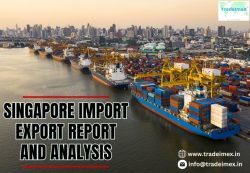 What Does Singapore Import from the USA?