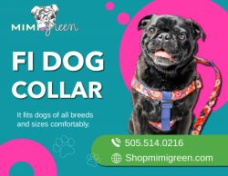 Smart and Stylish Pup Neckwear