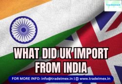 United Kingdom Import Data