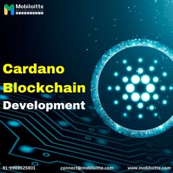 Cardano Blockchain Development Company