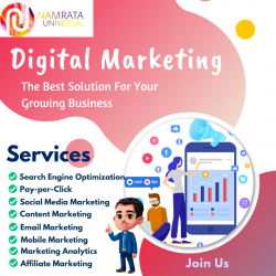 DIgital Marketing company in Noida