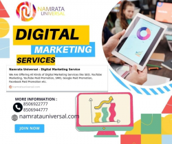 Digital Marketing company in Noida