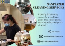 Virus-Free Zone: Sanitizing Pros at Your Service