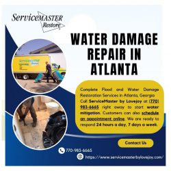 Professional Water Damage Repair Services in Atlanta