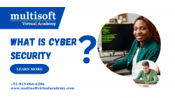 Introduction to Cyber Security