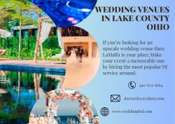 Where Love Meets Lake: Stunning Wedding Venues in Lake County