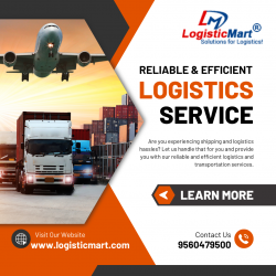 Who are some expert packers and movers in Hinjewadi, Pune?