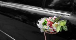 Wedding Cars Melbourne